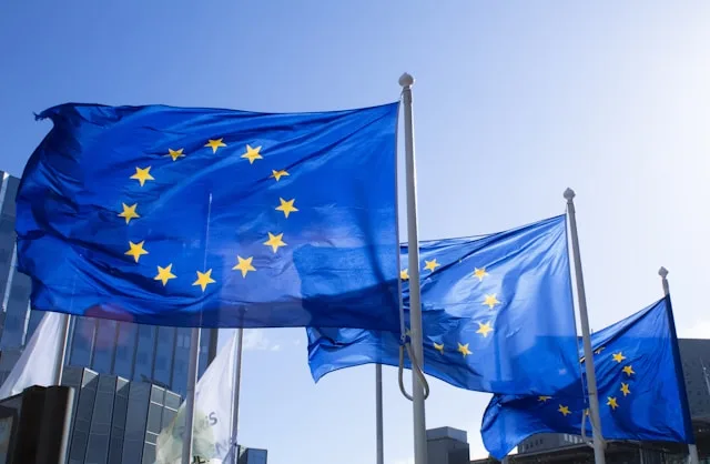EU flags
